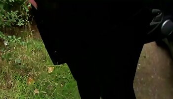 কিউট ম্যাডাম জোরে জোরে হাহাকার করছে বাংলাদেশি চোদা চোদি যখন মানুষ তাকে গাধা চুদছে